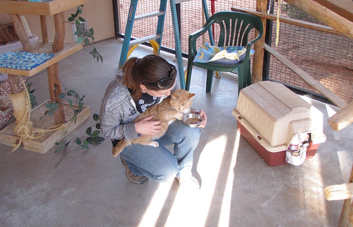 Volunteer Lizel Allen crouching on the floor with an orange cat in her lap