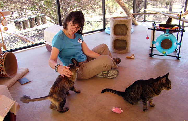 Marylin Sharp sitting on the floor at Cat World surrounded by friendly kitties