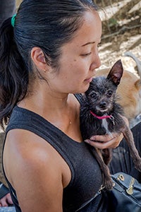 Volunteer Ranko Fukuda holding a small fuzzy Chihuahua
