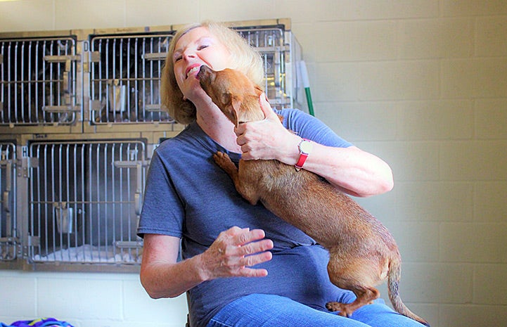 Volunteer Roberta Monti gets some love back from one of the dogs