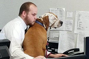 Volunteer Ron Burd working on the computer with a dog in his lap