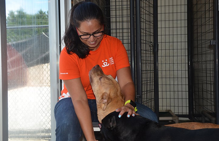 Volunteer Swarnima Singh smiling and petting two dogs