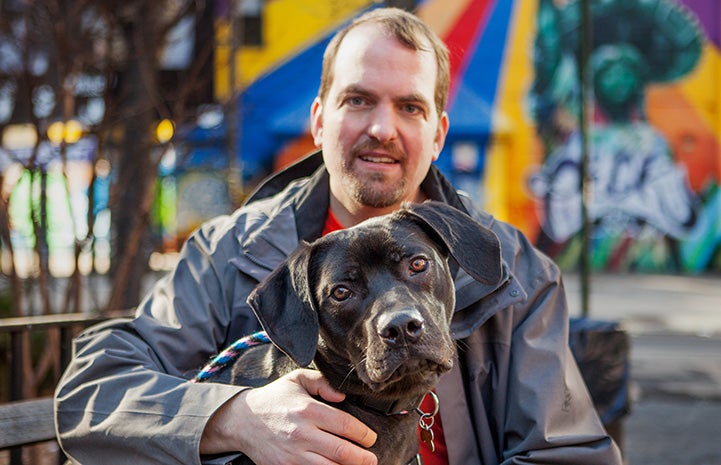 Volunteer Fabio Vitolla with Breck the dog in New York City