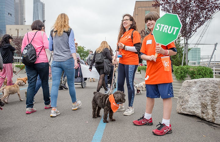 Two volunteers helping at Strut Your Mutt in New York City
