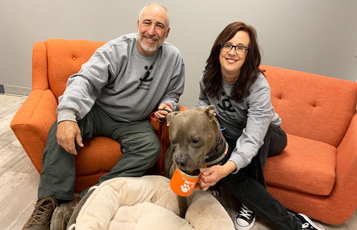 Volunteer David Glazer with a woman and Bono the dog (who is drinking from a coffee cup) on a couch
