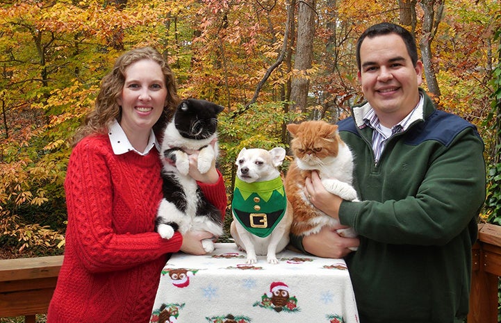 Eric and Erin Granados' pets, Smiley and Smuffin the cats and Obie the dog, are the inspiration for volunteering
