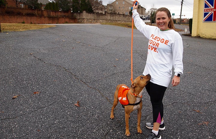 Volunteer Sandy Saffold holding the leash up to a brown dog wearing an Adopt Me vest