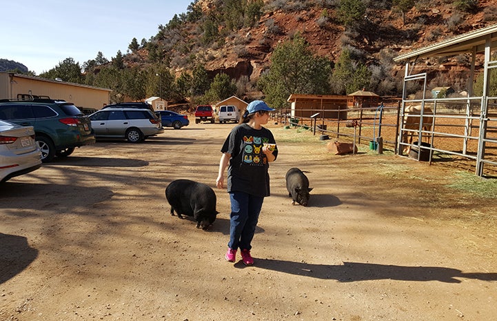 Walking the pigs was volunteer Sheri Slattery's favorite job at the Sanctuary