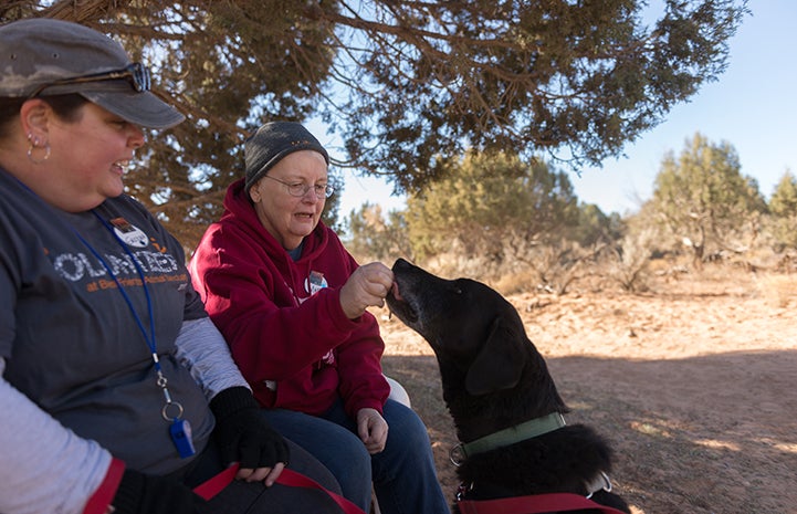 After surviving cancer again, Mary got to do what she most wanted to do — make that third volunteer trip to Best Friends