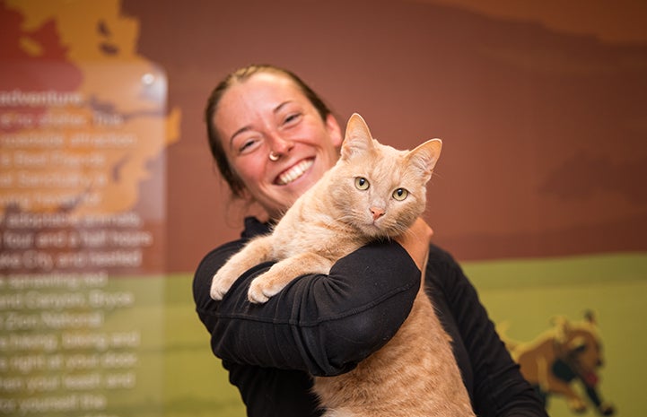 Smiling woman holding buff tabby cat