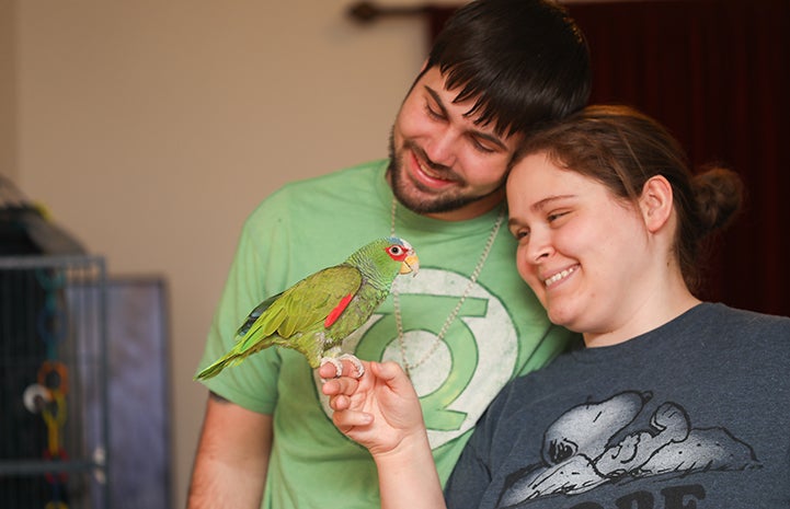 Jujubean the white-fronted Amazon parrot hit the jackpot when he was adopted by Jason and Emily Ketchum