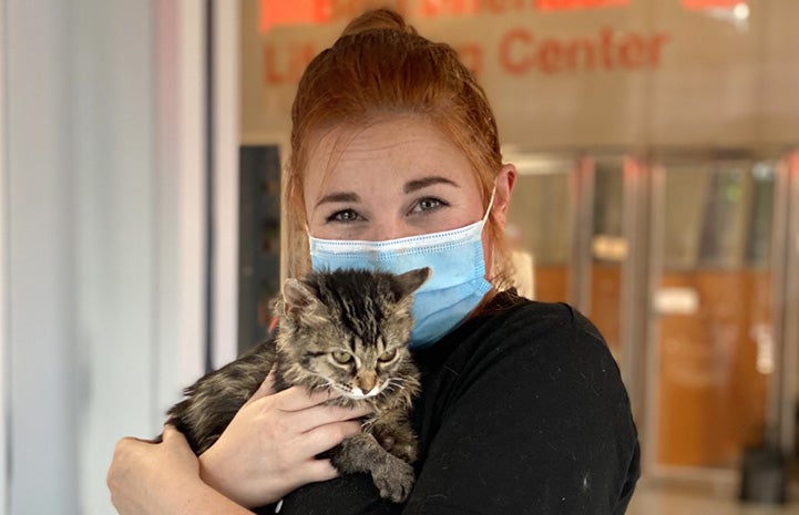 Grace the cat being held by her adopter