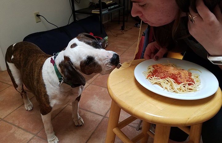 Willa enjoys a spaghetti dinner with volunteer Alexa Tavasci