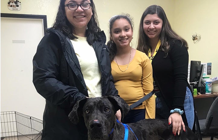 Dog being adopted from Palm Valley Animal Society