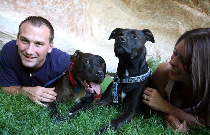 Cherry, a dog from Michael Vick's Bad Newz Kennels, was adopted.
