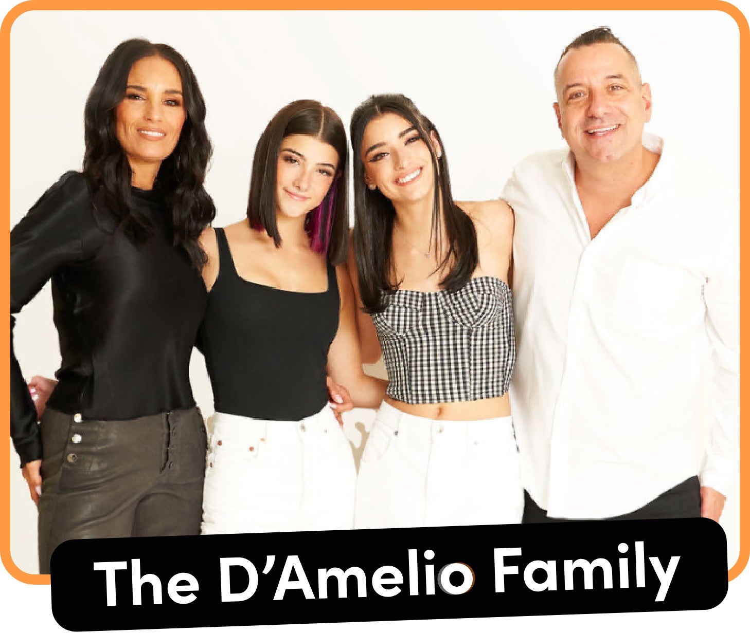 Portrait of the D'Amelio family