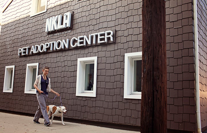 Person walking a dog outside the NKLA Pet Adoption Center