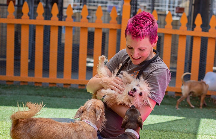 Woman with magenta colored hair smiling and holding a scruffy terrier mix dog