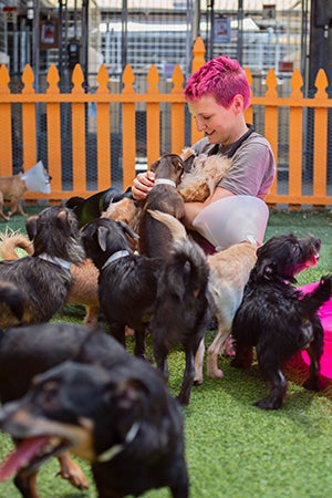 Woman with magenta colored hair sitting on the ground, surrounded by the small dogs who had been rescued