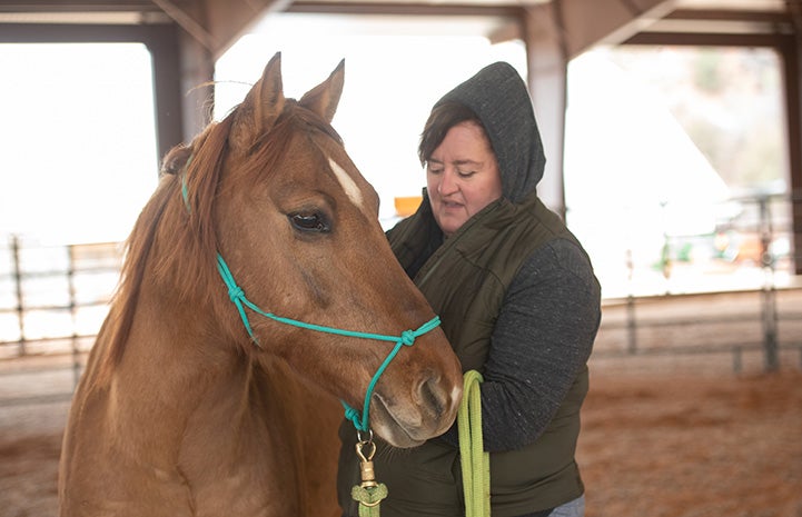 Ann putting a halter on Peanut the horse