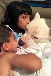 Two children snuggling with and kissing Walter the white mastiff their adopted dog
