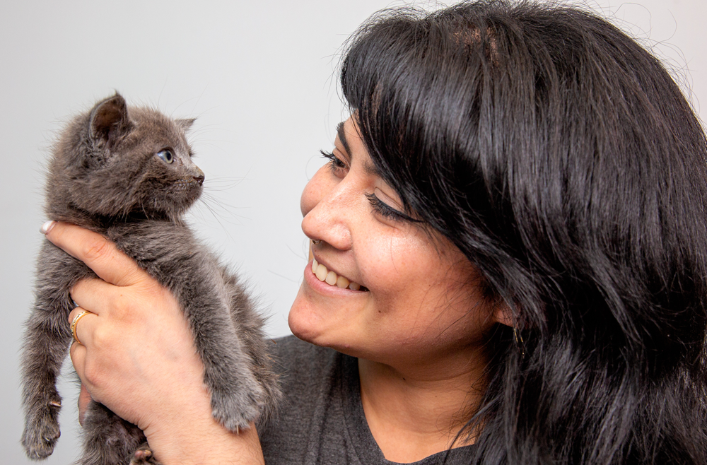 Woman holding small gray kitten