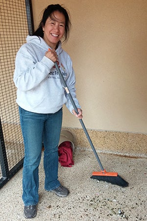 Volunteer Sophia Lim sweeping a rabbit enclosure at Best Friends Animal Sanctuary