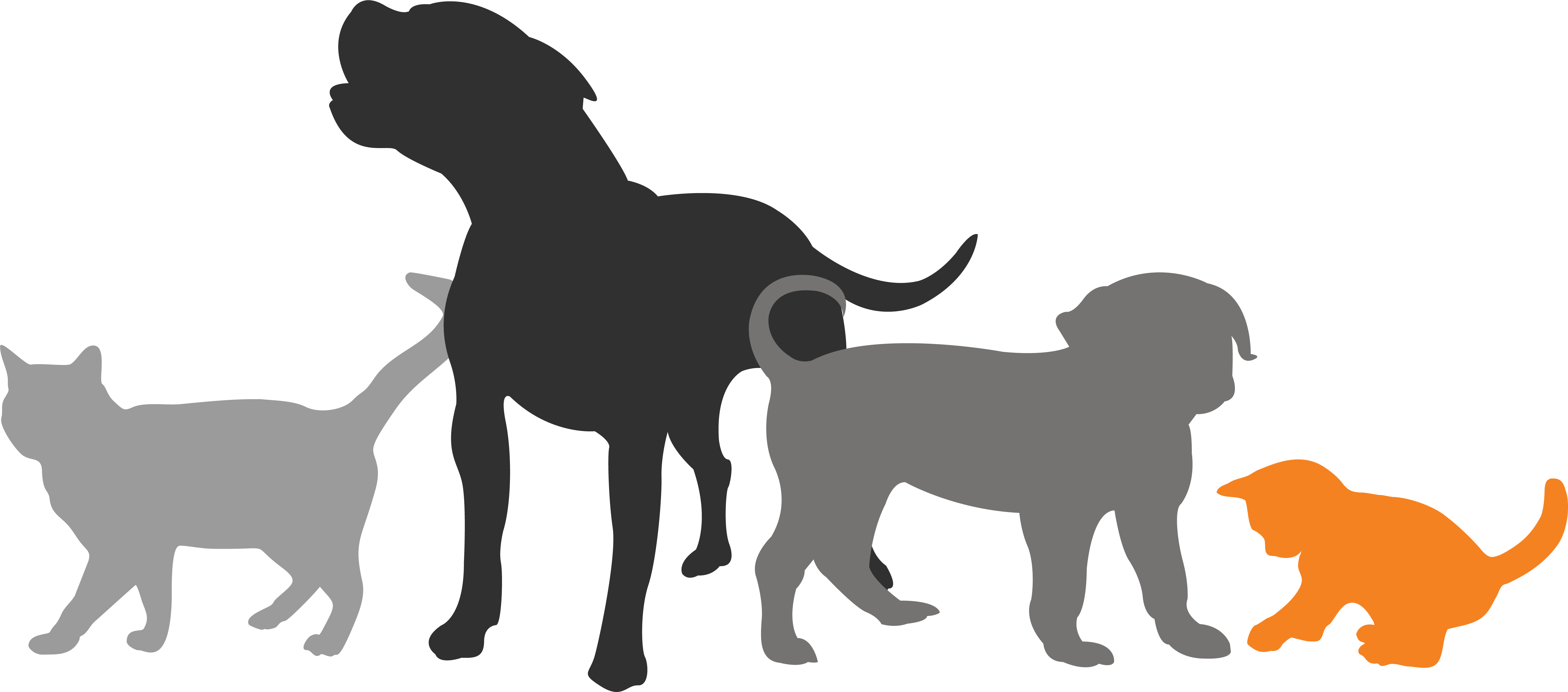 Silhouette of 2 cats and 2 dogs