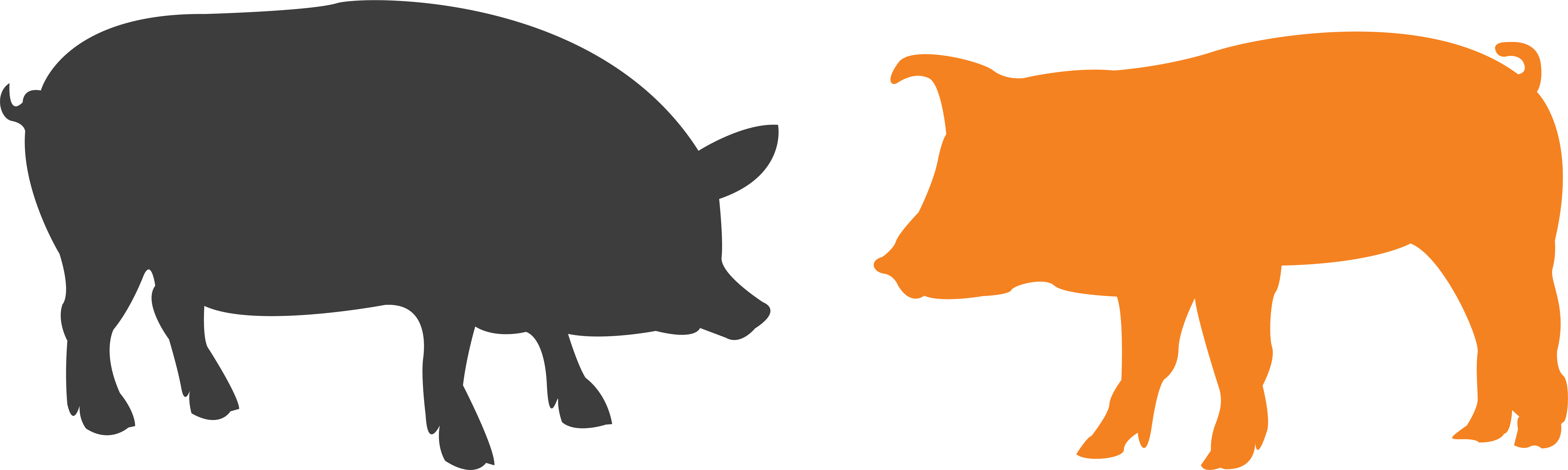 Silhouette graphic of two pigs