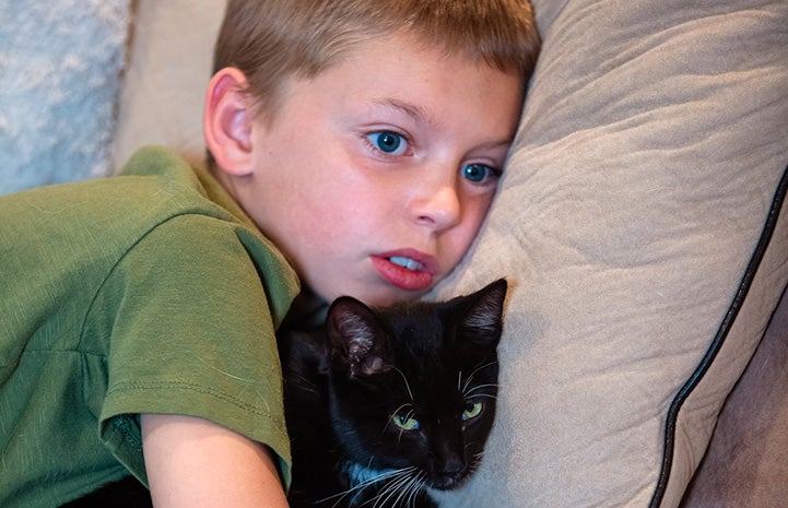 Young boy lying next to Athena the black and white kitten