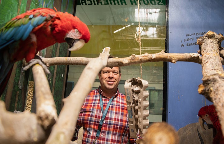 Person looking into the parrot aviary at a macaw on a branch