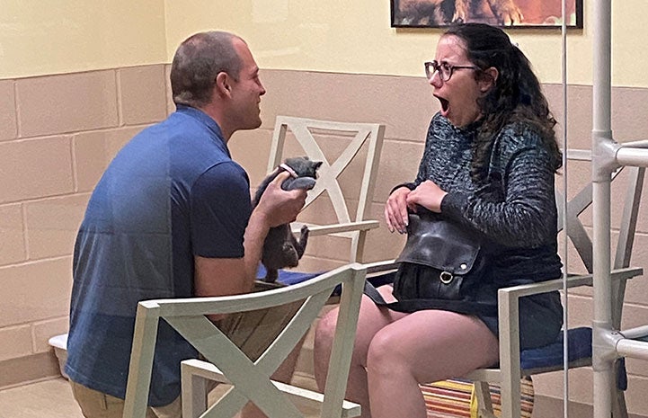 Marriage proposal at Pittsburgh’s Animal Friends with a cat named Molly