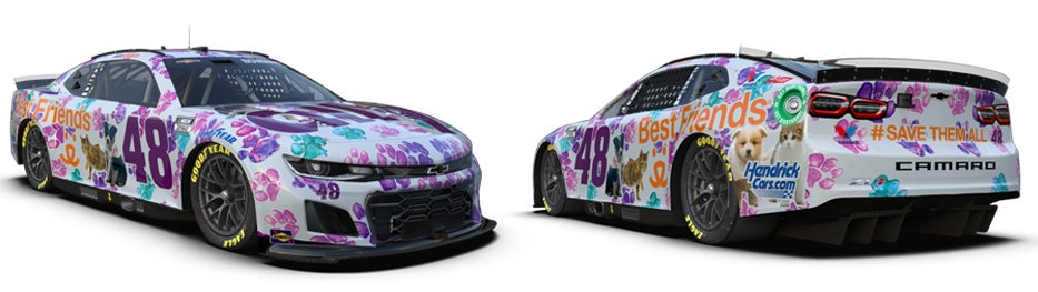 No. 48 Ally Chevrolet Camaro with the 2024 Best Friends Animal Society paint scheme