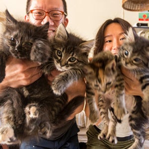 People holding foster kittens