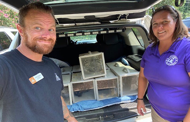 Two people with multiple transport boxes for cats in the back of a hatchback car