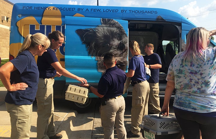 Loading crates containing cats into the Humane Society of Tulsa van