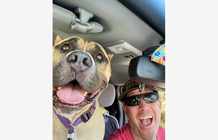 Selfie of Beefy the dog and Danny in a car