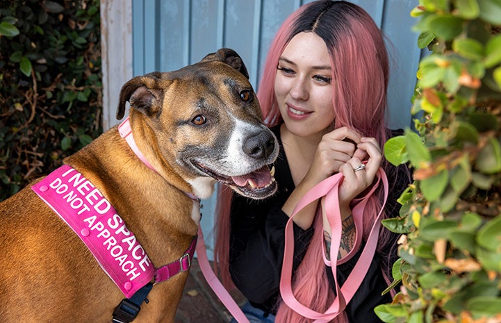 Molly the dog wearing a "I need space Do not approach" harness and posing with a woman