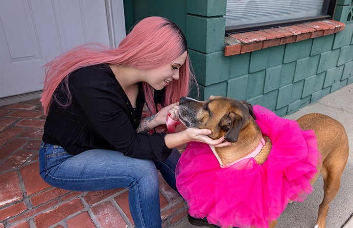 Smiling woman looking down and holding Molly the dog's face (Molly is wearing a bright pink tutu around her neck)