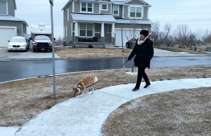 Kynsie and Skelly the dog out for a walk