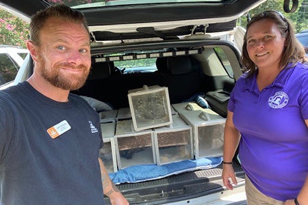 Two people by an open back of a car containing boxes with cat to return as part of TNR