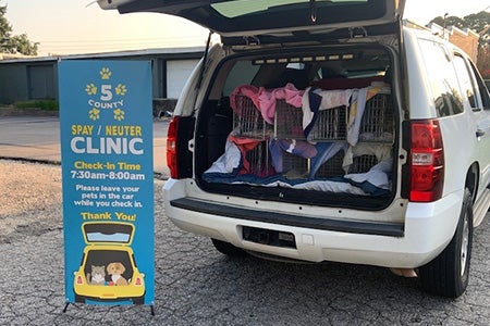 Back of vehicle containing live traps with cats, next to a spay/neuter clinic sign