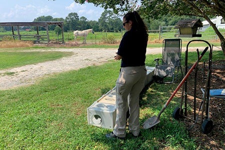 Person preparing to release community cats in a rural setting by a horse