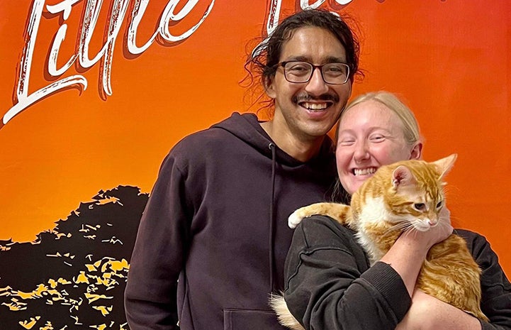 Two people adopting a cat from Little Lion Foundation