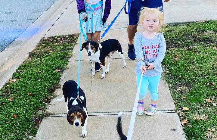 The Cochran family walking three dogs