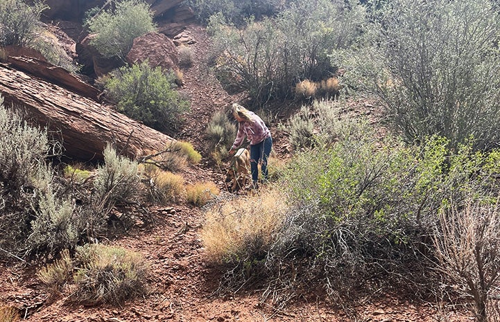 Tierney rescuing Southeast the dog on the cliff