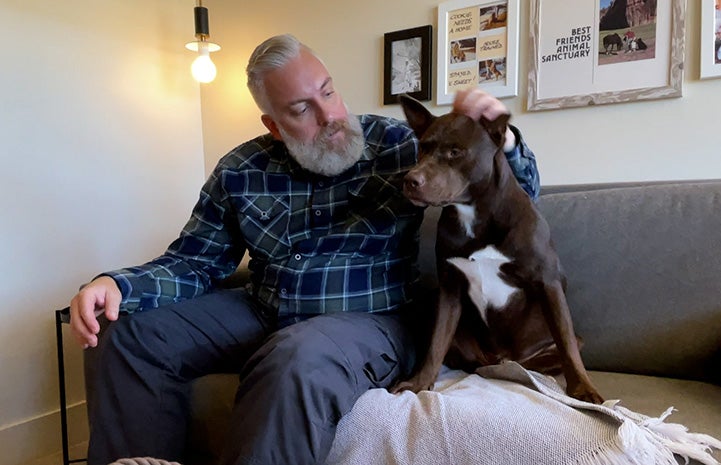 Man sitting with and petting a dog on a couch