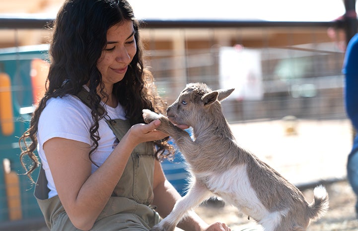 Person holding Alicia, the baby goat's, hoof