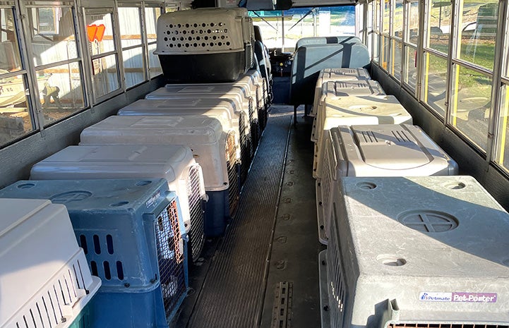 Row of kennels in the transport bus