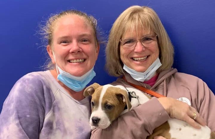 Two people adopting a brown and white puppy